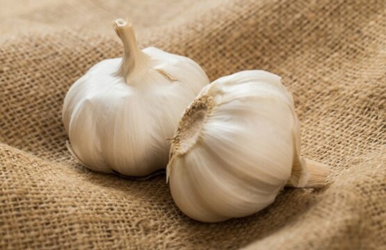 Garlic